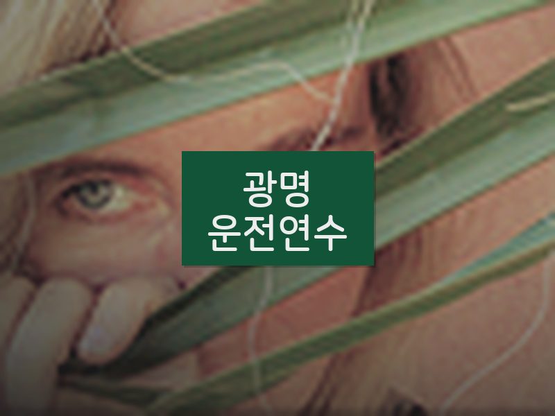 광명운전연수 후기