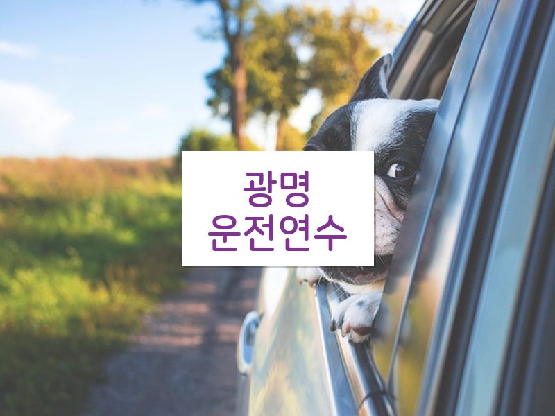 광명운전연수 후기