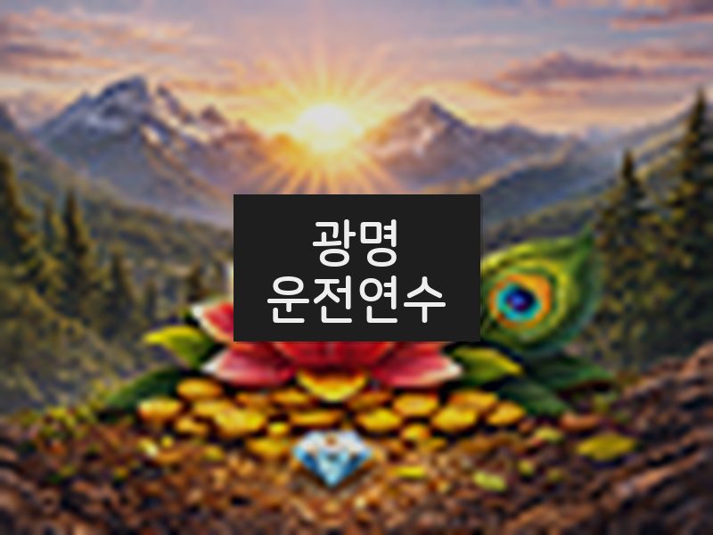 광명운전연수 후기