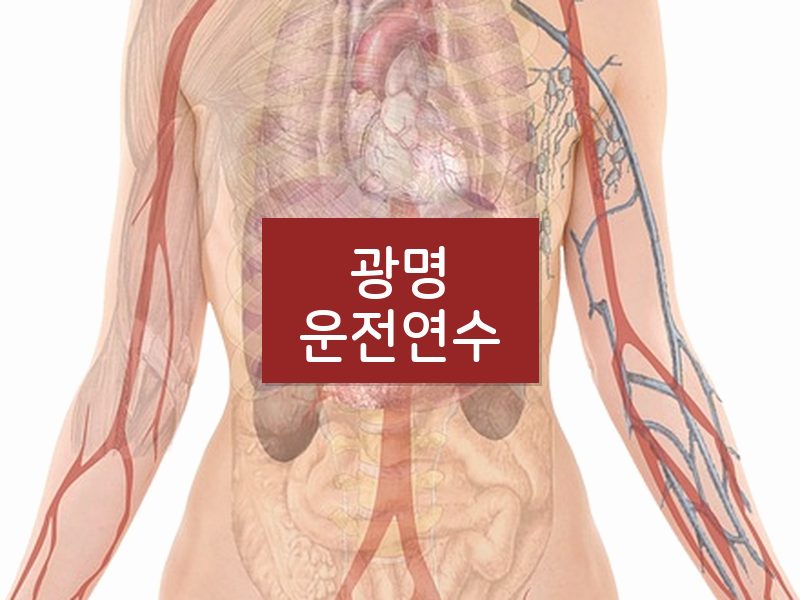 광명운전연수 후기