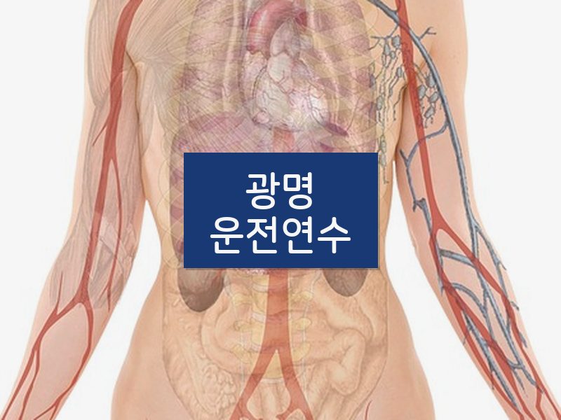 광명운전연수 후기