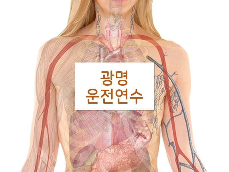 광명운전연수 후기