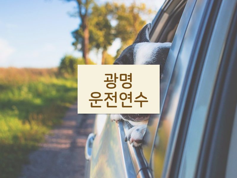광명운전연수 후기