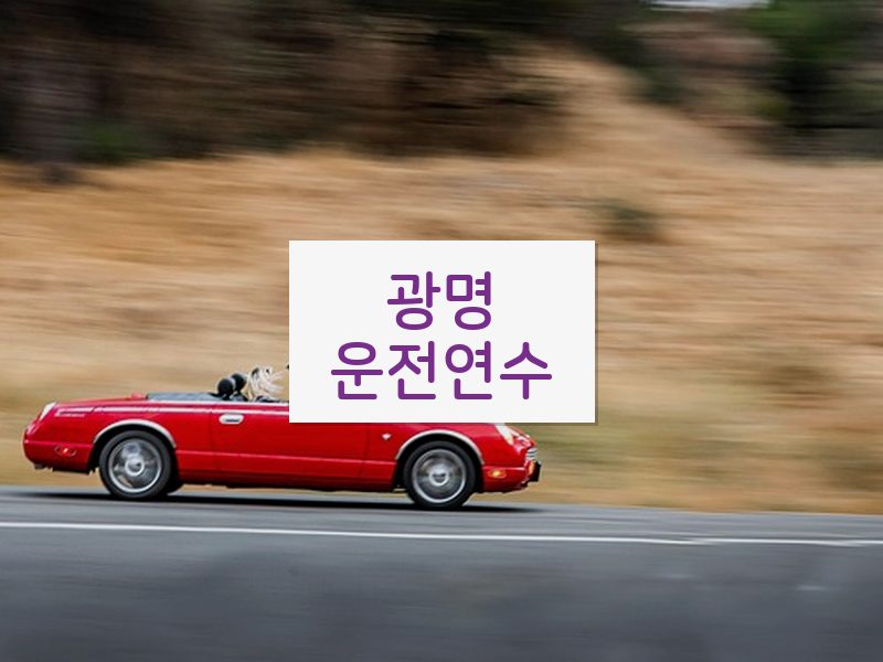 광명운전연수 후기