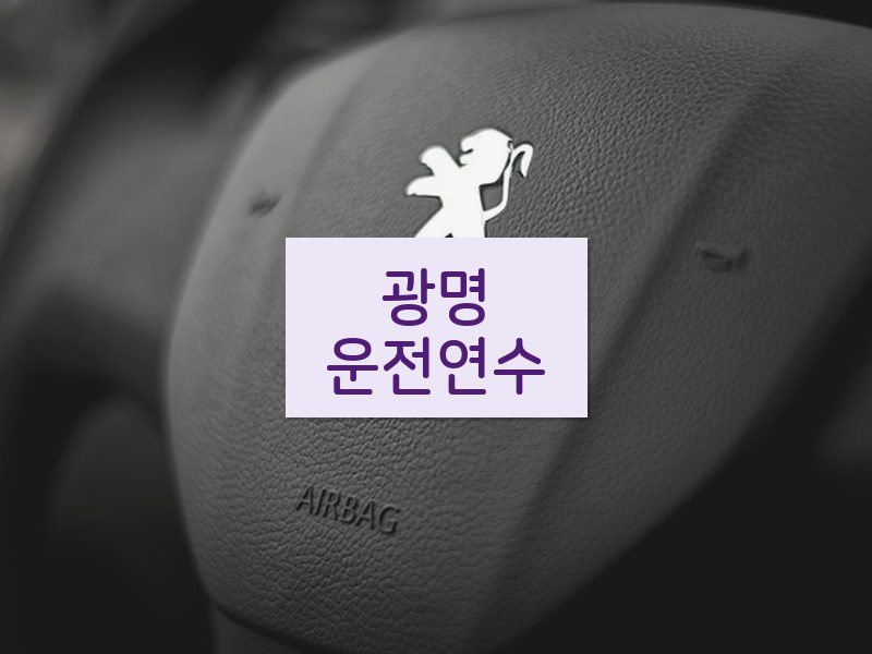 광명운전연수 후기