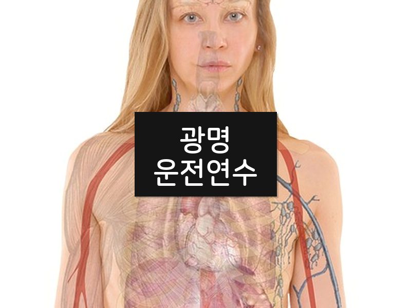 광명운전연수 후기