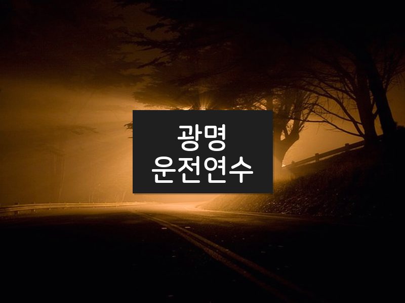 광명운전연수 후기