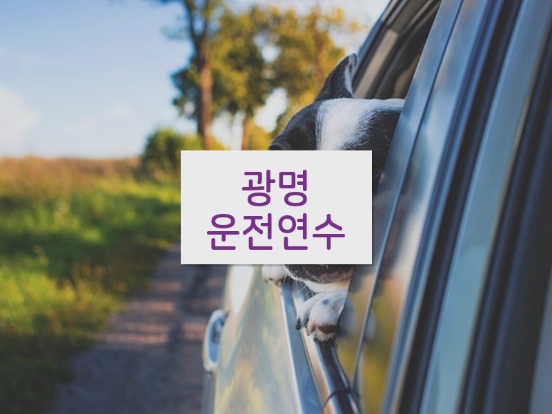 광명운전연수 후기
