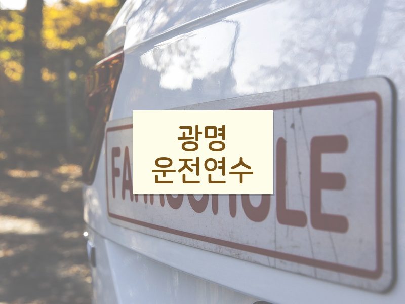 광명운전연수 후기