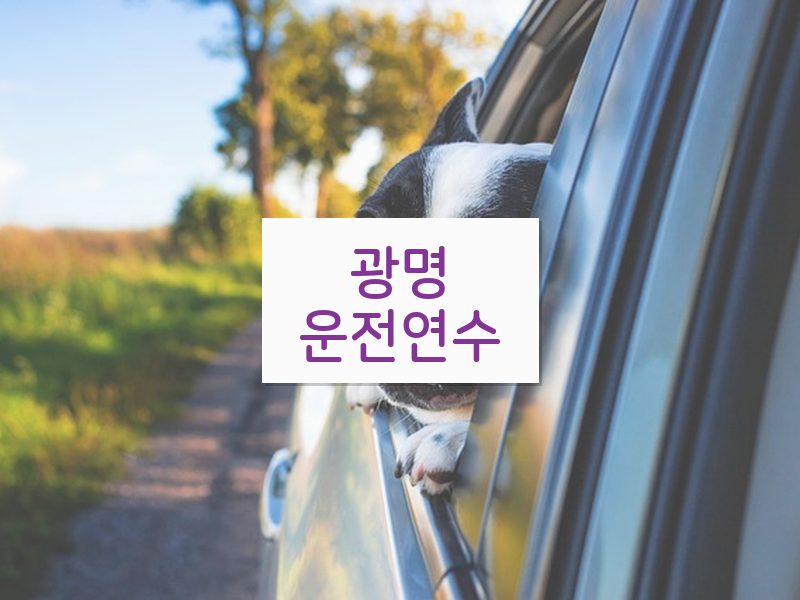 광명운전연수 후기