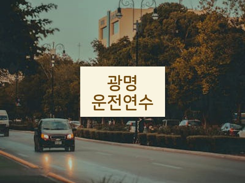 광명운전연수 후기