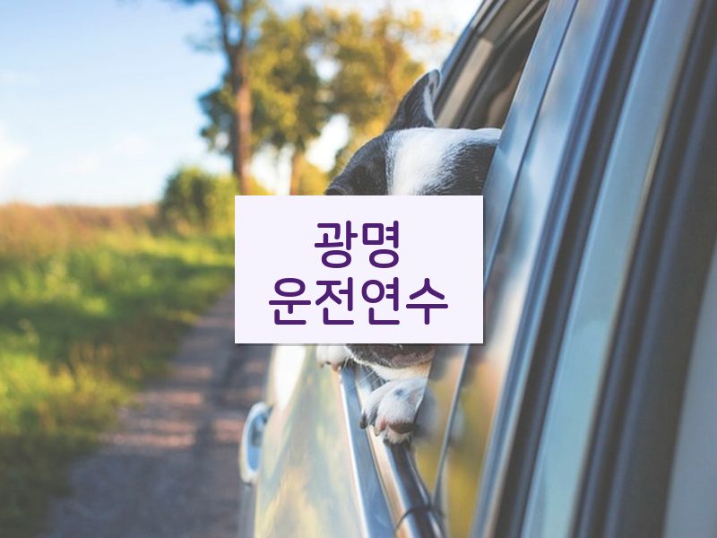 광명운전연수 후기