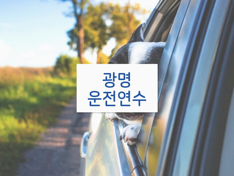 광명운전연수 후기