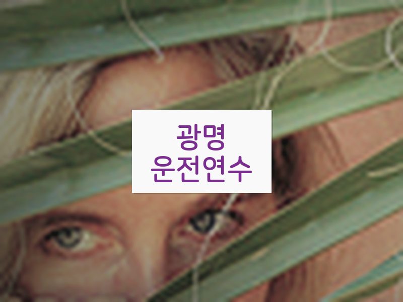 광명운전연수 후기