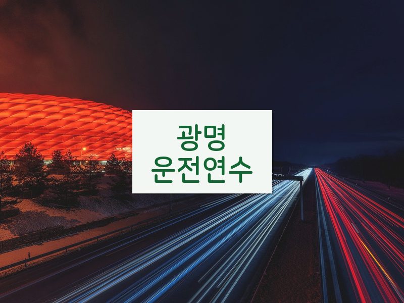 광명운전연수 후기