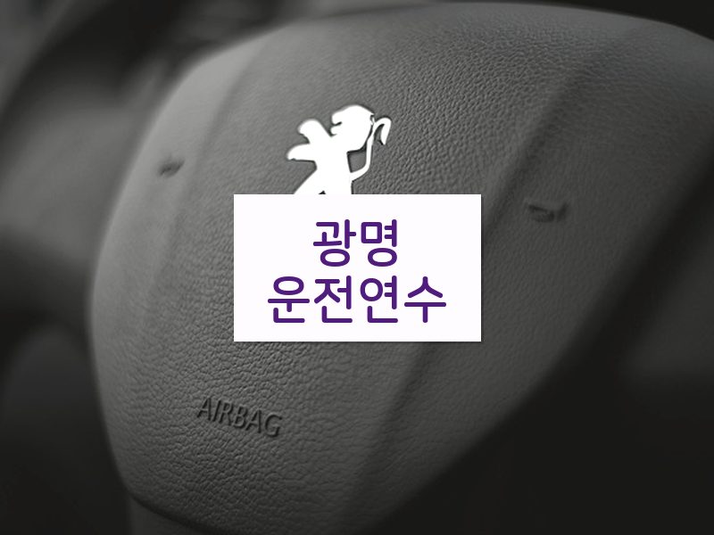 광명운전연수 후기