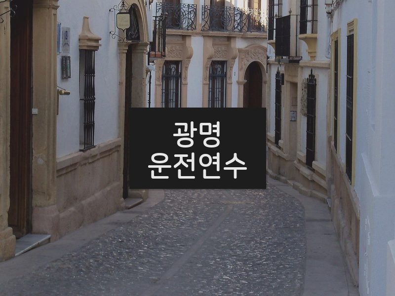 광명운전연수 후기