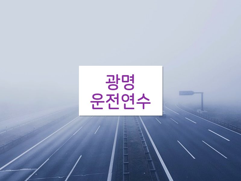 광명운전연수 후기