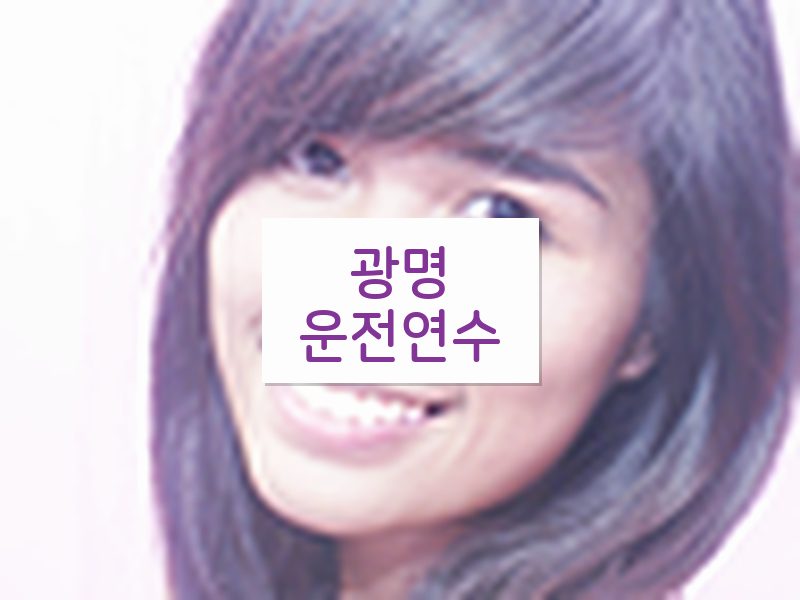 광명운전연수 후기