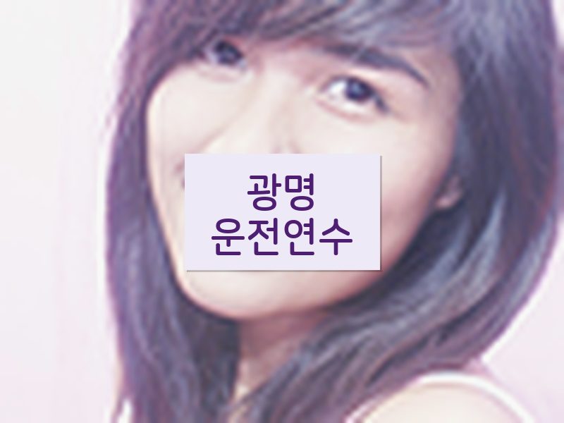 광명운전연수 후기