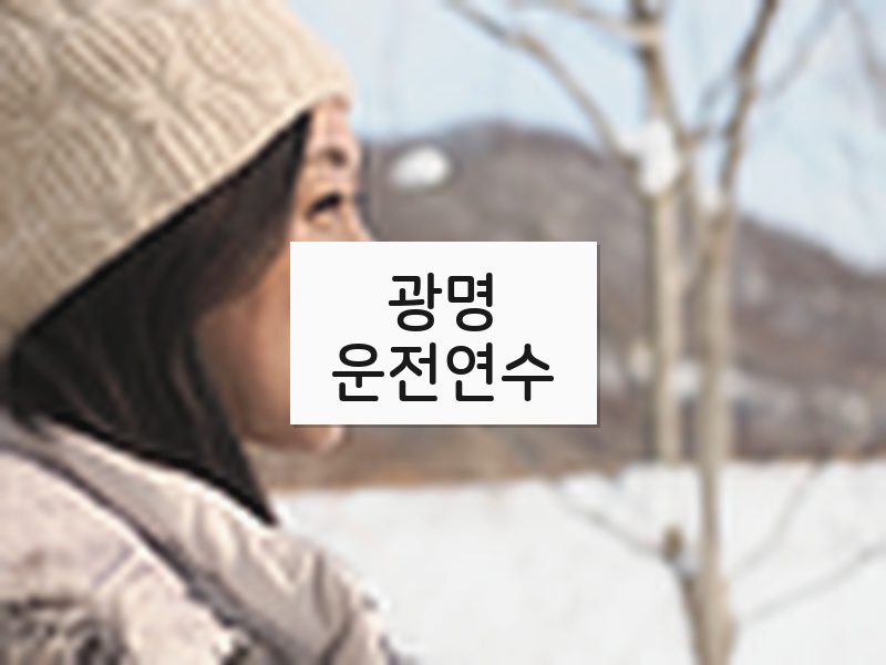 광명운전연수 후기