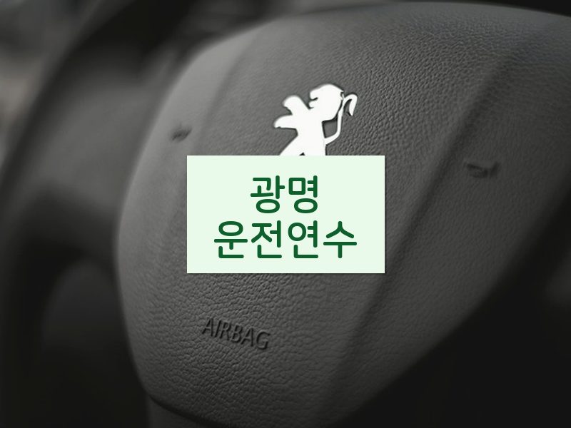 광명운전연수 후기