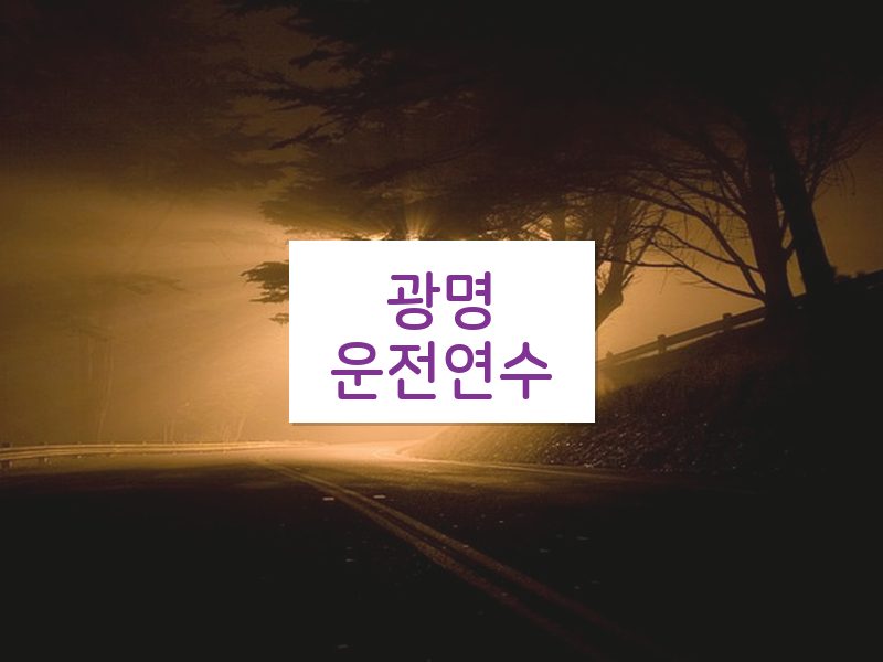 광명운전연수 후기