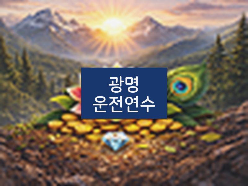 광명운전연수 후기