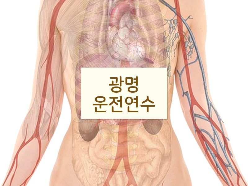 광명운전연수 후기