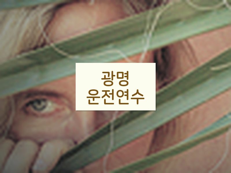 광명운전연수 후기