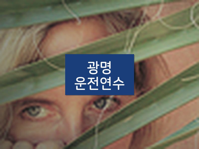 광명운전연수 후기