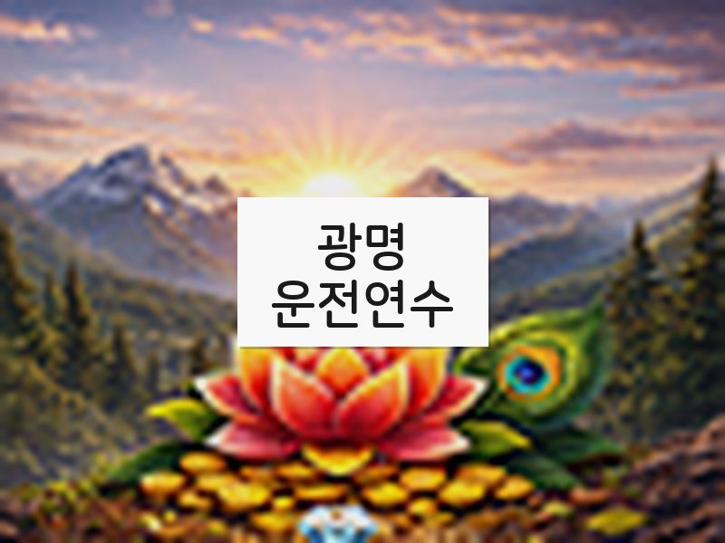 광명운전연수 후기