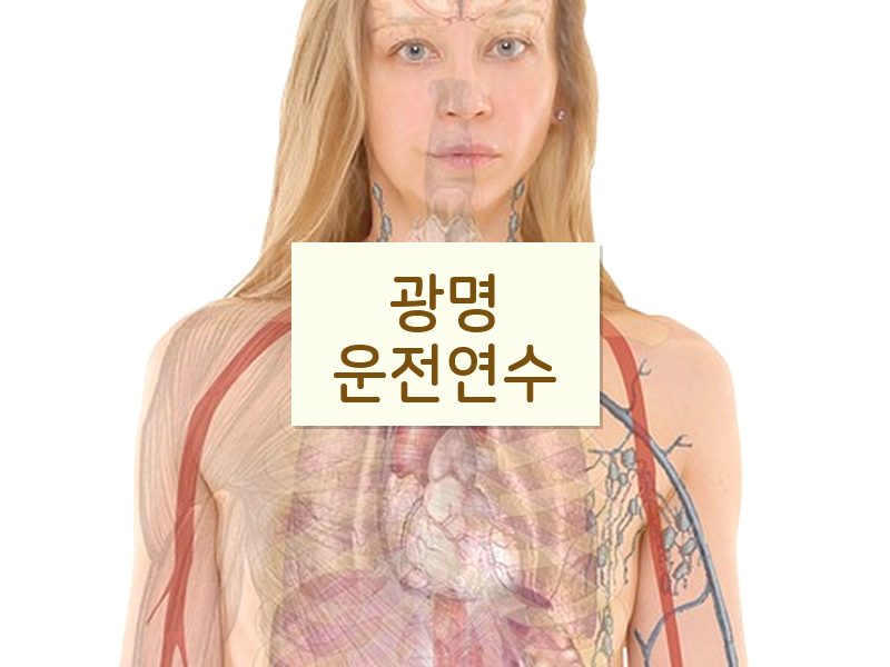 광명운전연수 후기