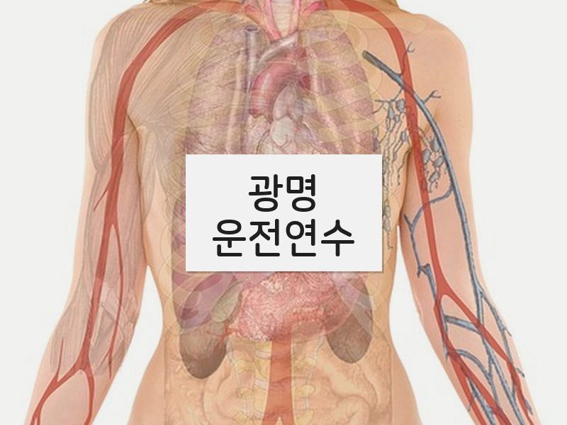 광명운전연수 후기