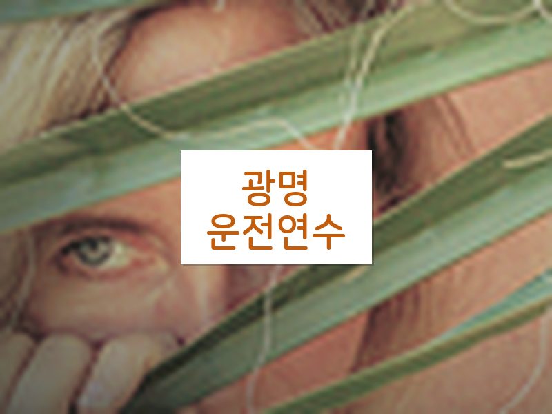광명운전연수 후기