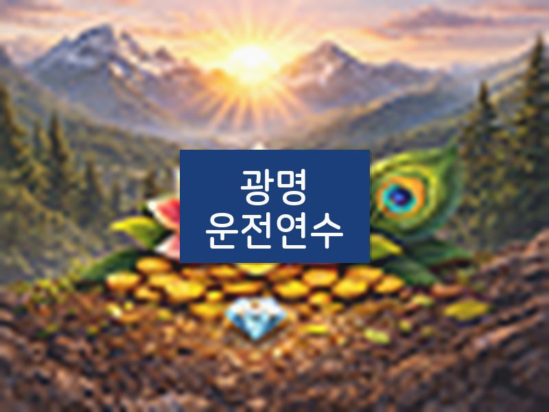 광명운전연수 후기