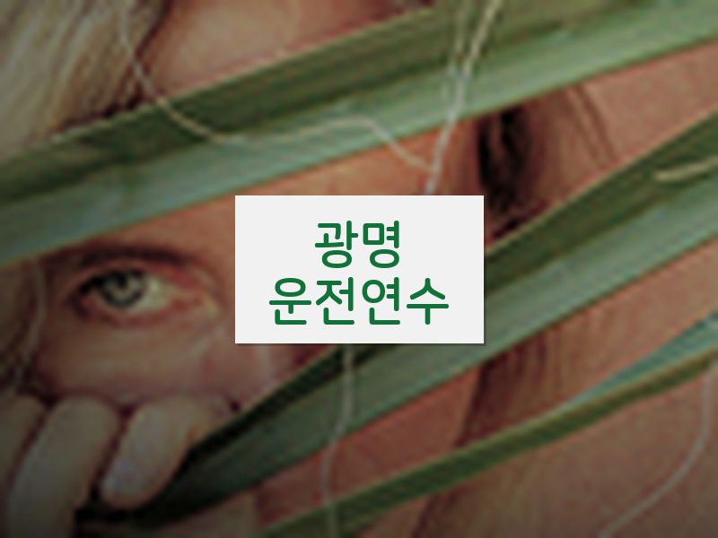 광명운전연수 후기
