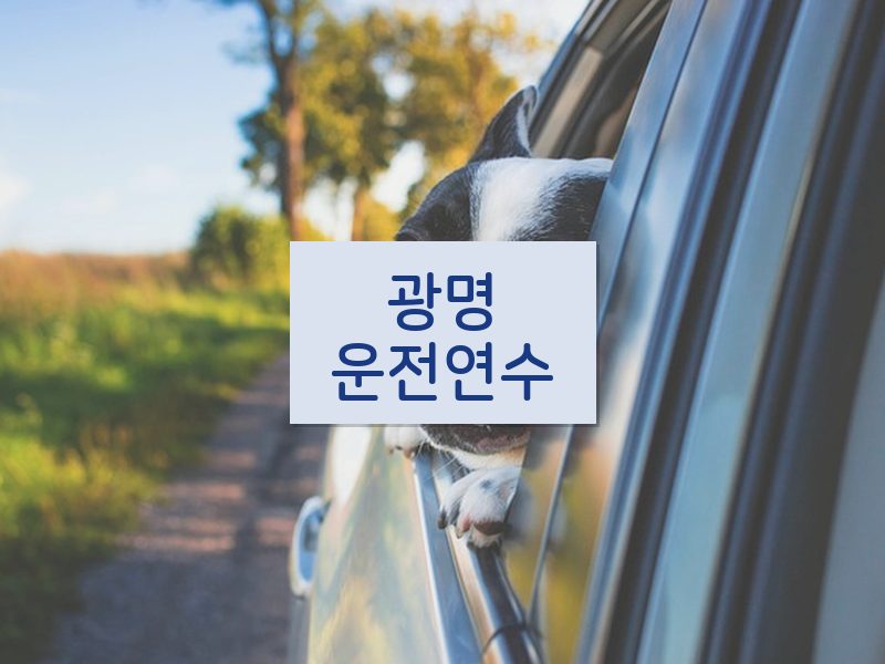 광명운전연수 후기