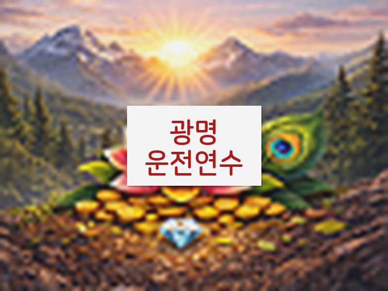 광명운전연수 후기