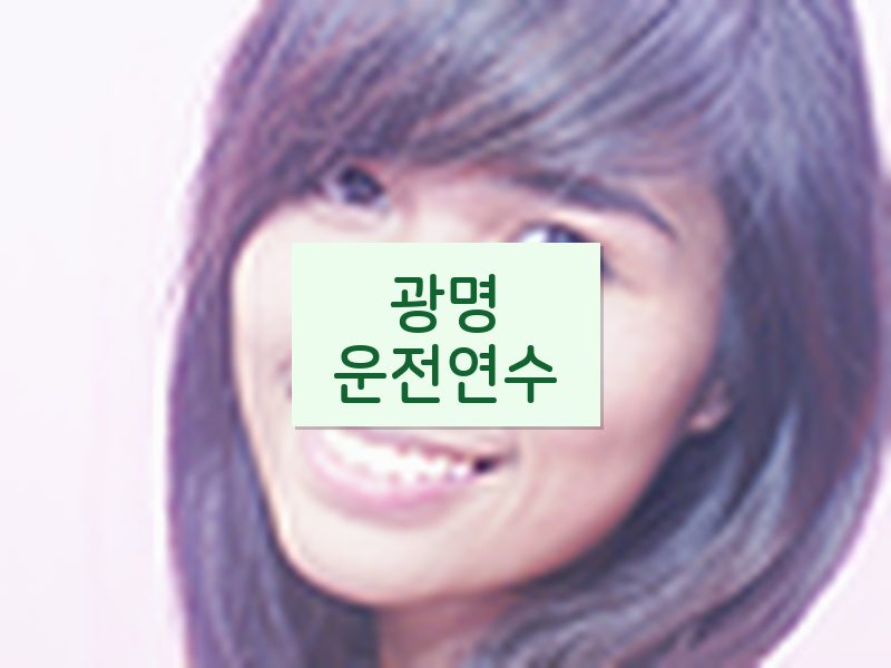 광명운전연수 후기