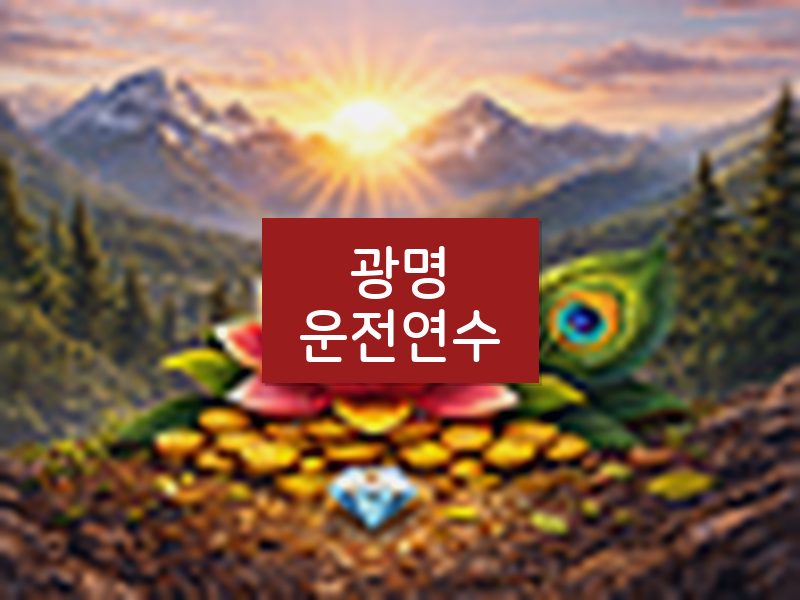 광명운전연수 후기