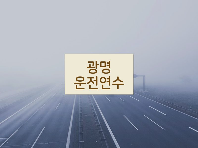 광명운전연수 후기