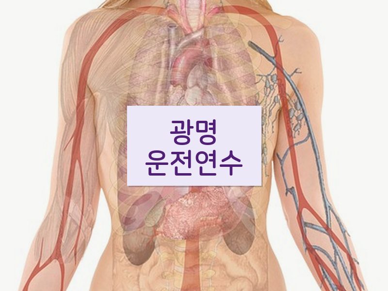광명운전연수 후기