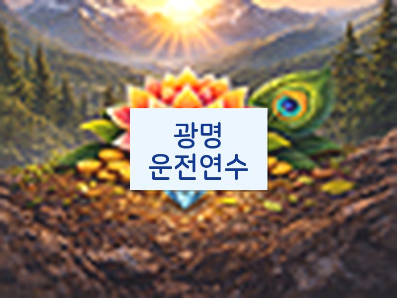광명운전연수 후기