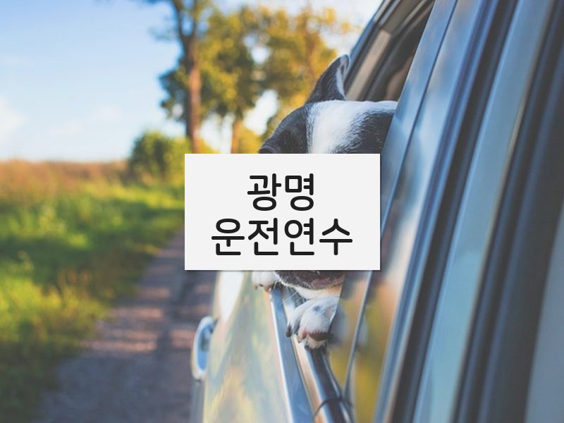 광명운전연수 후기