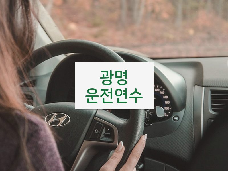 광명운전연수 후기
