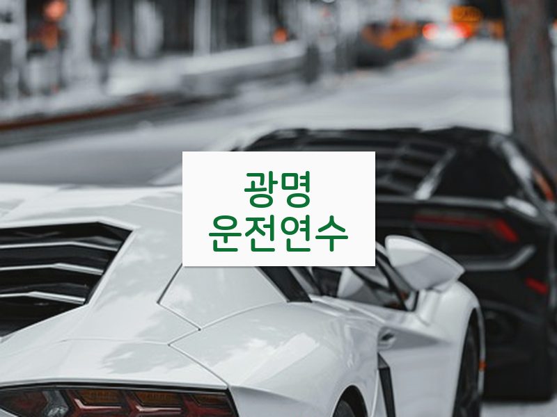 광명운전연수 후기