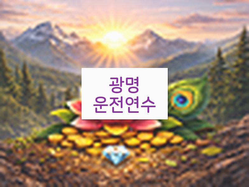 광명운전연수 후기