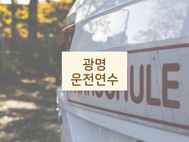 광명운전연수 후기