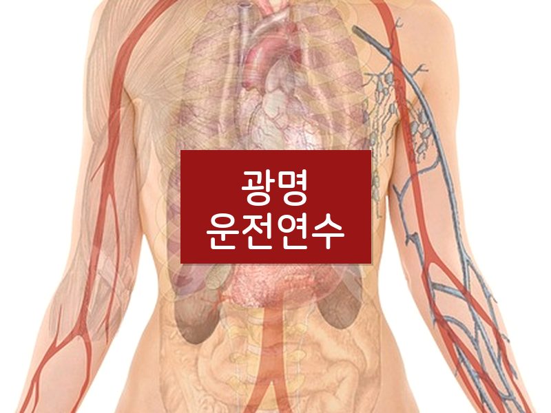 광명운전연수 후기